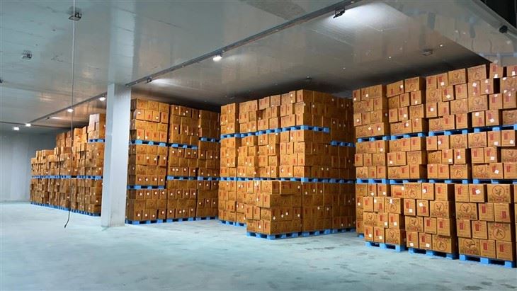 200 Tons Cold Storage Room Walk in Cooler