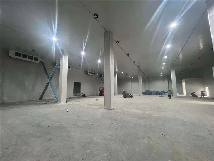 200 Tons Cold Storage Room Walk in Cooler