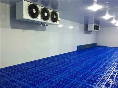 2025 10. Führende Kühlraumfabrik in China